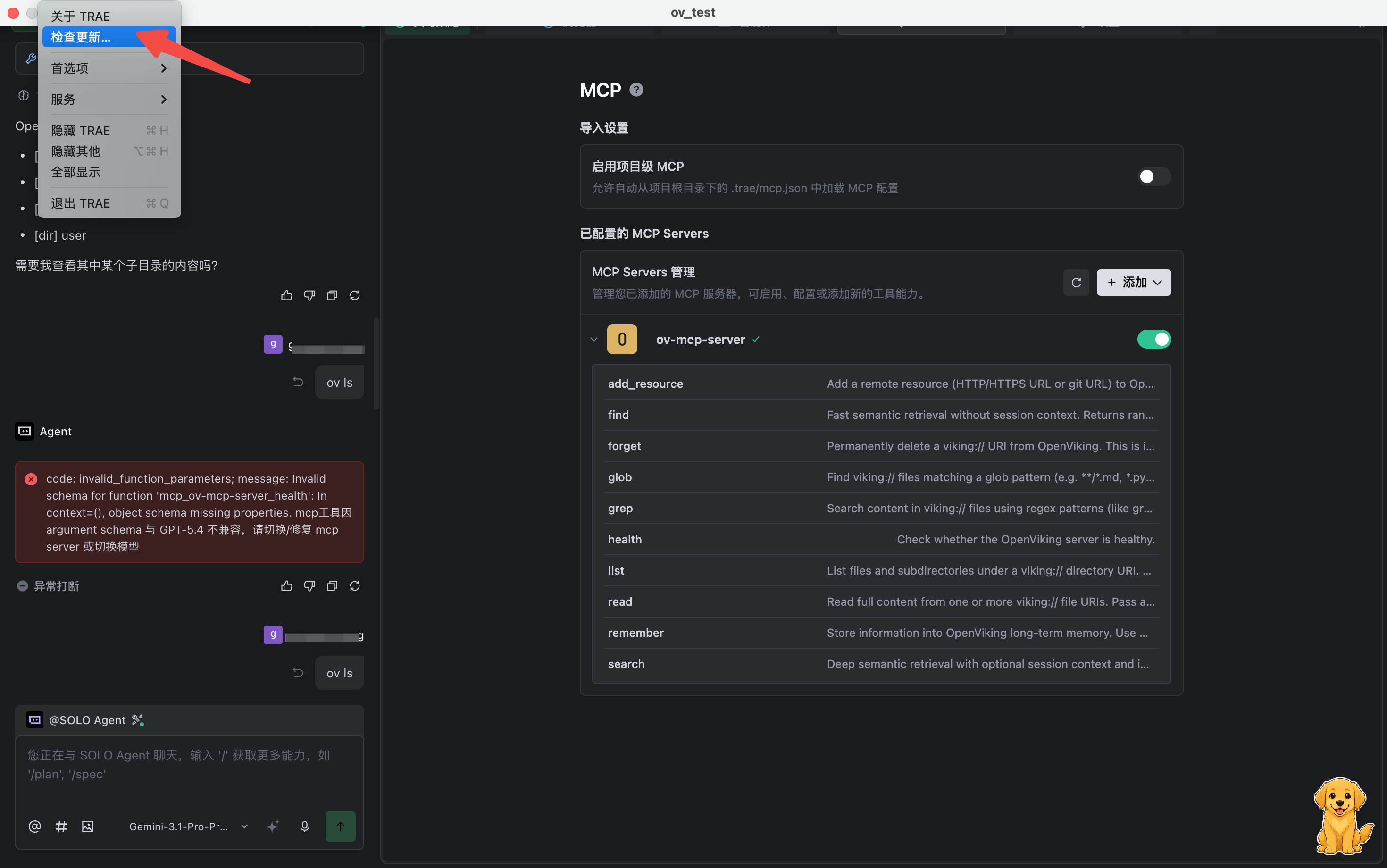 Trae MCP schema 兼容性详情